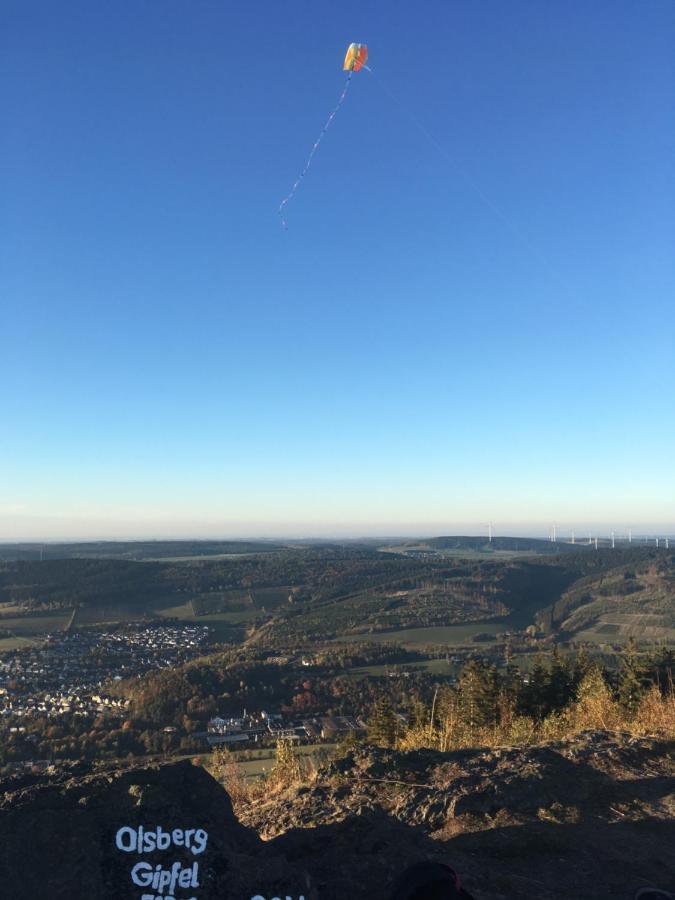 Ferienwohnung Am Pieperknapp In Olsberg Eksteriør billede