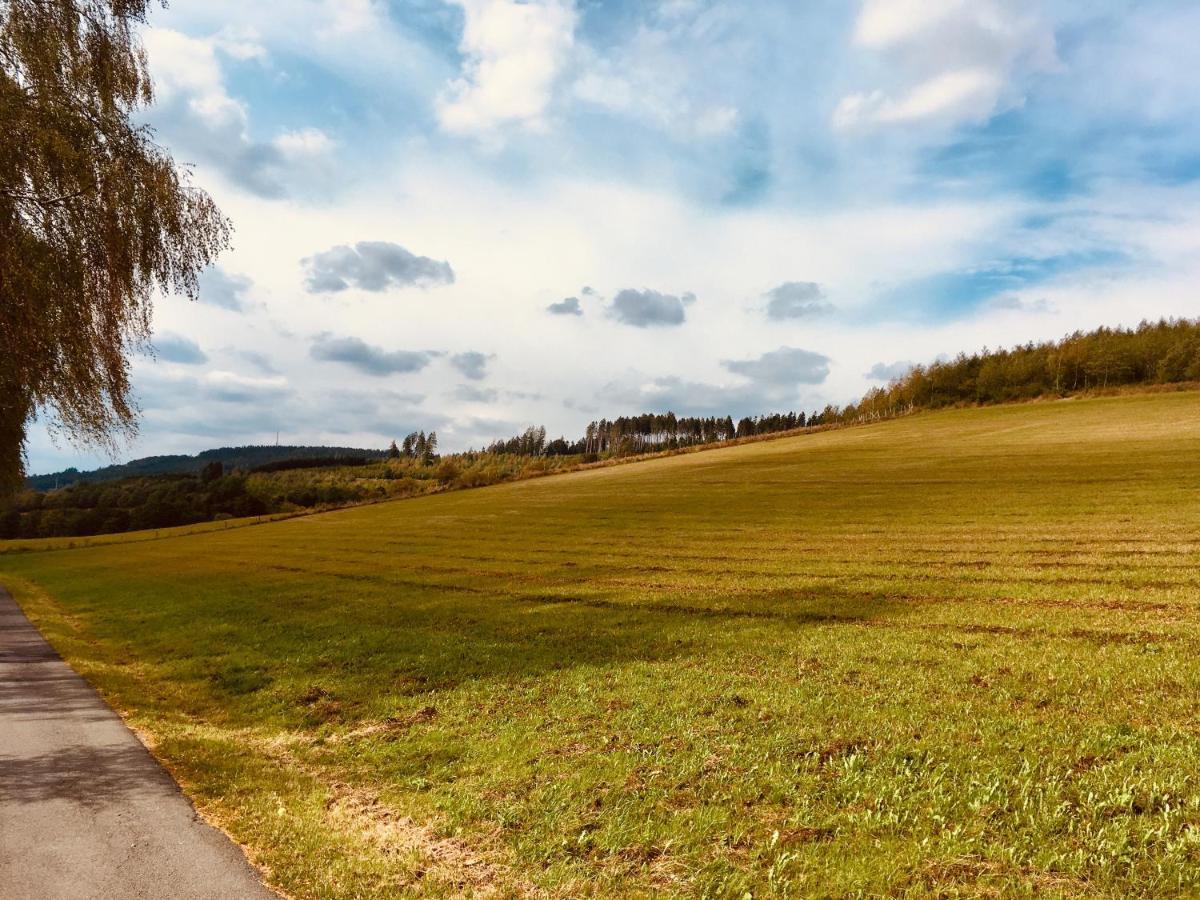 Ferienwohnung Am Pieperknapp In Olsberg Eksteriør billede