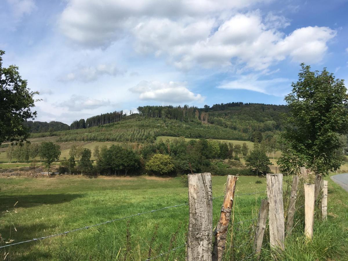 Ferienwohnung Am Pieperknapp In Olsberg Eksteriør billede