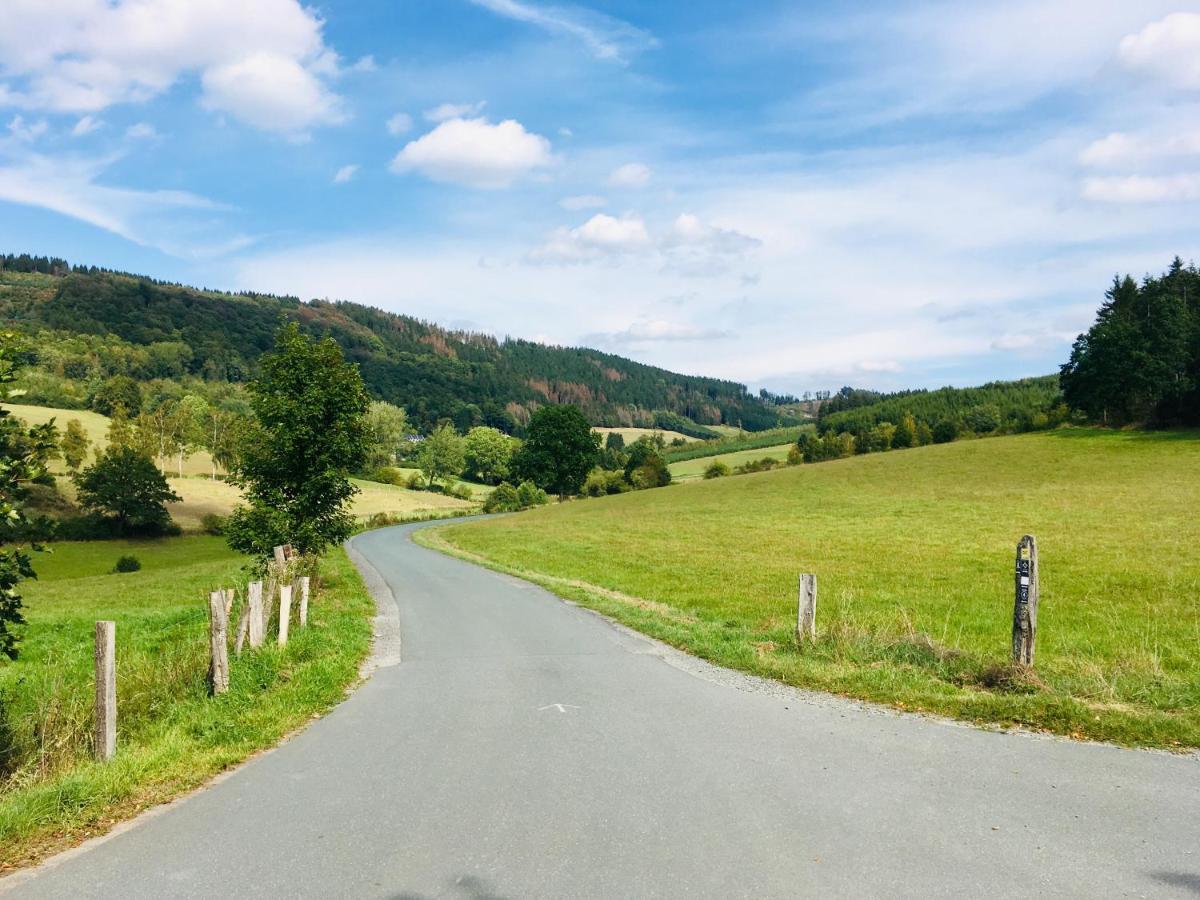 Ferienwohnung Am Pieperknapp In Olsberg Eksteriør billede