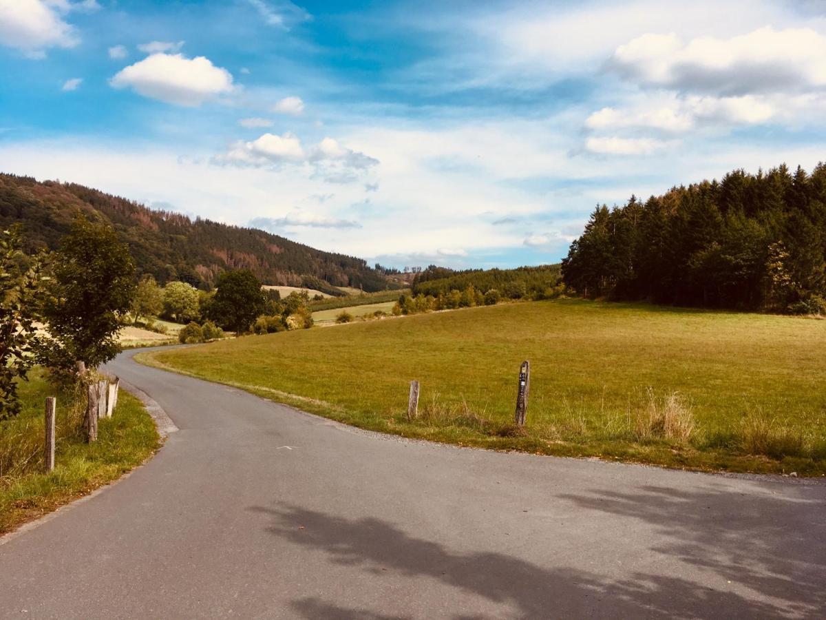 Ferienwohnung Am Pieperknapp In Olsberg Eksteriør billede
